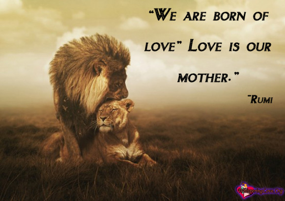 Rumi Quotes on Mothers pics