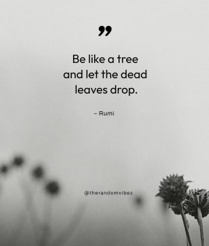 best rumi quotes