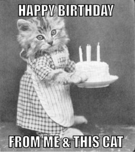 Best Happy Birthday Cat Memes
