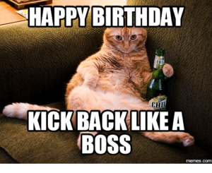 Birthday Cat Meme Images