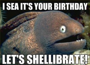 Birthday Memes Funny
