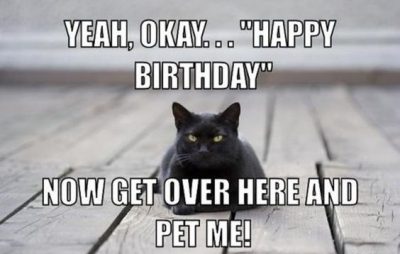 Black Cat Birthday Meme
