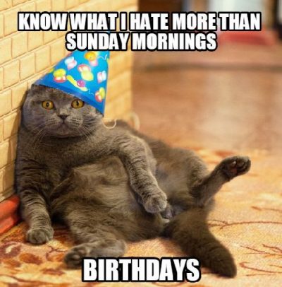 Crazy Cat Birthday Meme