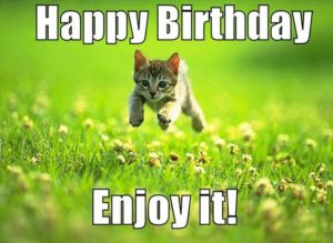 Cute Cat Birthday Meme