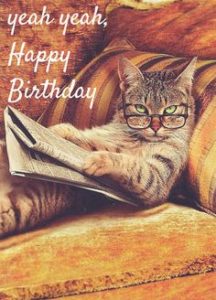 Cute Happy Birthday Cat Meme