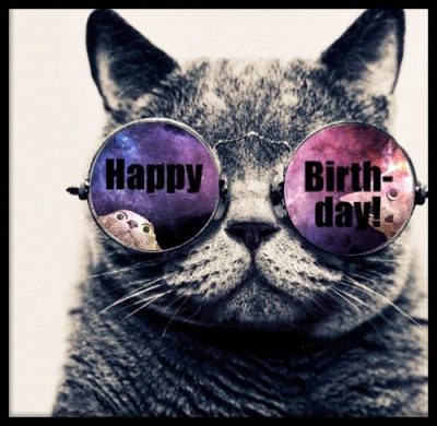 Funny Birthday Cat Images