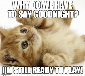 Funny GoodNight Memes