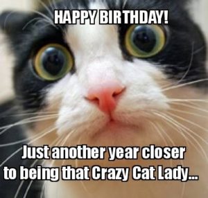 Funny Happy Birthday Meme Cat