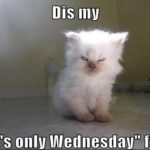 Funny Memes about Wednesday