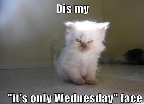 Funny Memes about Wednesday