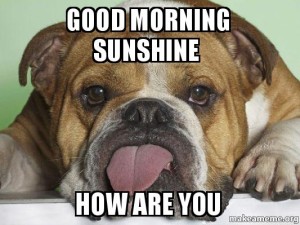 Good Morning Sunshine Meme Pictures
