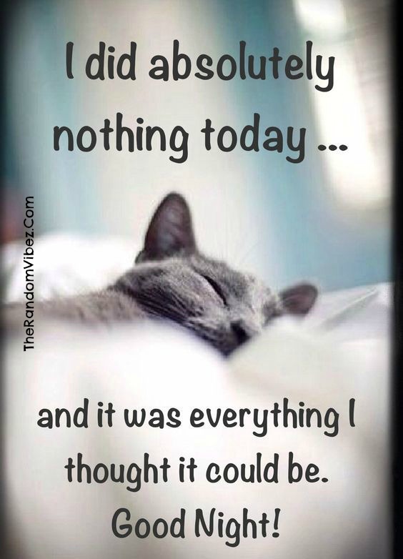 75 Hilarious Good Night Memes Images Pics