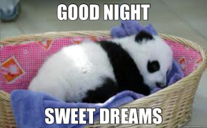 Good Night Sweet Dreams Meme Images