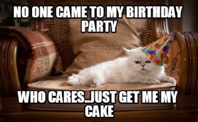 Grumpy Cat Birthday Memes