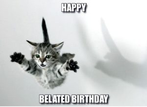 Happy Belated Birthday Cat Memes
