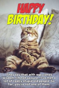Happy Birthday Cat Meme 3