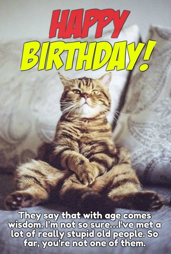 100 Best Happy Birthday Cat Memes & Images