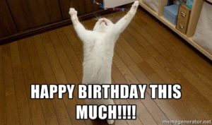 Happy Birthday Cat Meme for Her