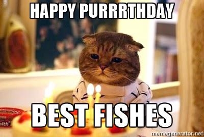 Happy Birthday Cat Meme