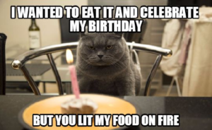 Happy Birthday Cat Memes