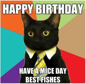 Happy Birthday Cat Memes