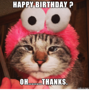 Happy Birthday Cats Memes