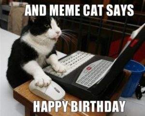 Happy Birthday Fat Cat meme