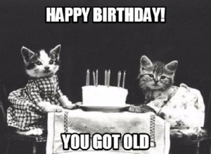 Happy Birthday Memes Cats