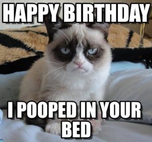 Happy Bthday CatMeme