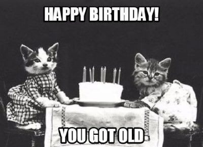 Happy birthday Cat memes 2019