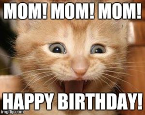 Happy birthday Meme Cats