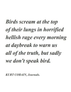 Kurt Cobain Journals Quotes Pics