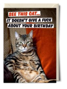 Sarcastic Happy Birthday Cat Memes
