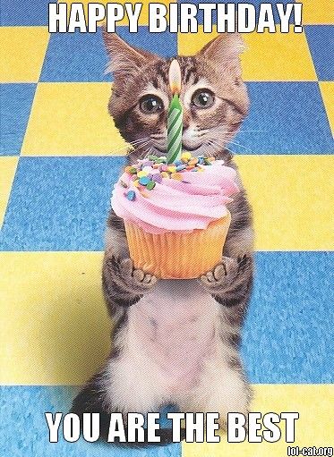 Funny Happy Birthday Memes Images To Share With Friends