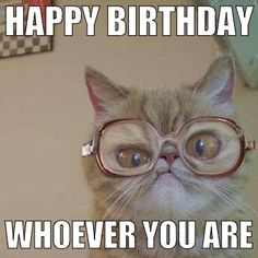 Unique happy birthday cat memes