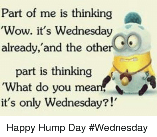 Wednesday Hump Day Meme