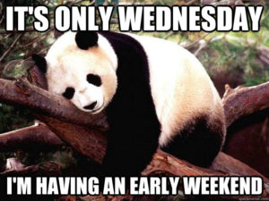 Wednesday Meme Animals