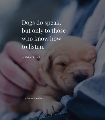 best dog quotes