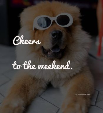 cheers to the weekend quotes