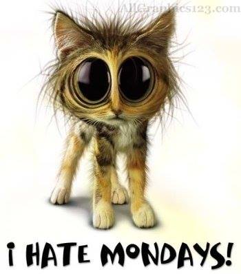 Disgusting Monday Memes