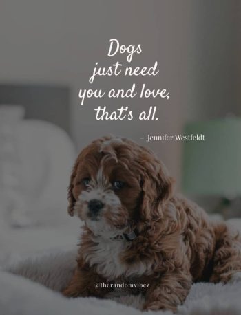 dog love quotes