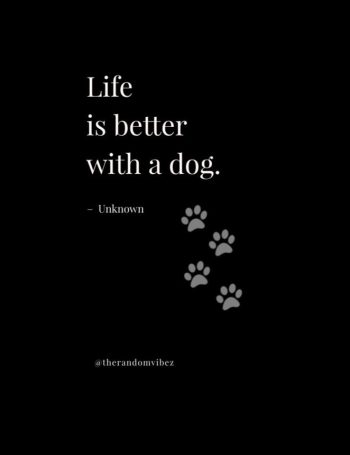 dog quote