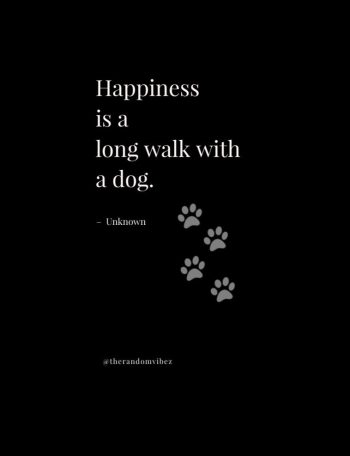 dog quotes images