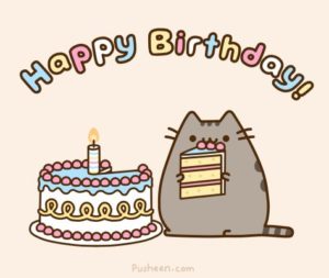 happy birthday cat meme cartoon