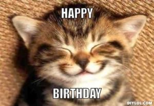 happy birthday cat meme cute