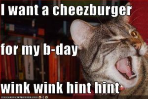 Happy Birthday Cat Pictures meme
