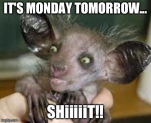 Its Monday tomorrow Meme