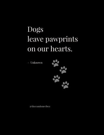 quotation for dog lovers