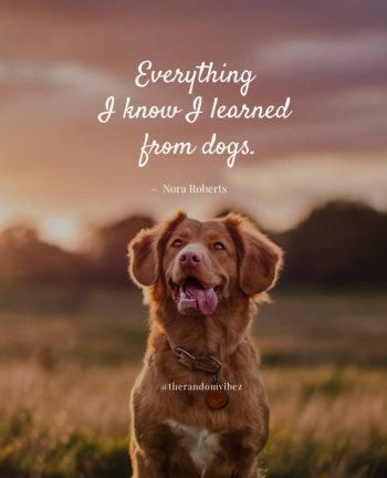 quotes about dogs