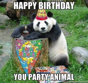 Funny Animal Happy Birthday Images